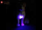 Buy cheap Metal Lead Cat Pet Dog LED Light Collar Tag Safety Flasher Blinker Keychain from wholesalers