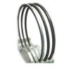 Buy cheap OEM 06-740000-30 Diesel Engine Piston Rings For Benz OM366/A/LA Neutral Packing from wholesalers