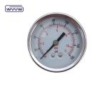 Dry Use No Oil Back Mount Pressure Gauge 160 Psi Air 60mm SS Pressure Gauge