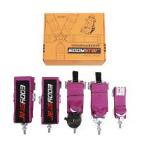 Buy cheap EDDY Purple 5 Point Racing Seat Belt Harness SFI Certificate For Race Car product