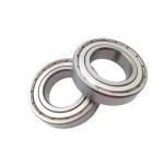 OEM Steel Cage Single Row Deep Groove Ball Bearing 6006 ZZ