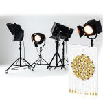 Professional 300W Five Color COB LED Chip 3856 36-39V for Photographic Light OEM