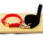 Custom Printed Logo Dog Collar Leash Set 4 Size Luxury Padded Decorative Velvet