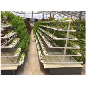 Buy cheap CO2 Control NFT Hydroponic Equipment Hydroponic Garden Tower OEM ODM from wholesalers