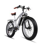 48V 17.5AH LG Battery Retro Electric Bike With Front Suspension 1000W Motor