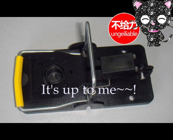 Plastic Rodent Pest Control Mouse Rat Trap with OEM Compatibility and Effectiveness