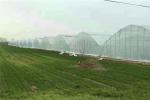 250 Meters 100% HDPE Insect Mesh Netting For Vegetable Greenhouse Agricultural