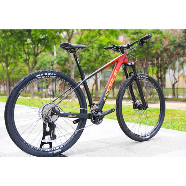 Buy cheap 29 Inch Mountain Bike with 22 Speed Carbon Fiber Front Fork and Hydraulic Disc Brakes from wholesalers