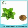 Buy cheap Peppermint / Mentha Haplocalyx Leaf Extract Menthol from wholesalers