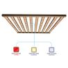 Buy cheap Gavita Fluence Standard 1000w 1200w 4x4 LED Grow Light from wholesalers