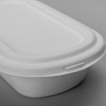 Eco Friendly Biodegradable Salad Boxes