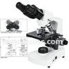 Buy cheap Halogen Lamp Compound Optical Microscope For High School A12.1005 from wholesalers