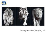 Stunning Animal Lenticular Flip / Amazing Naked 3D Lenticular Photography