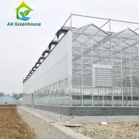 Buy cheap 12m Width Agricultural Glass Greenhouse Residential Hydroponic Strawberry product
