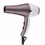 Household Salon Low Radiation Hair Dryer 1000W With Constant Temperature