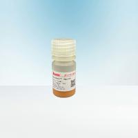 Buy cheap 100mL 2.8 μM Oligo DT Magnetic Beads DNA Library Construction Kit FDA product