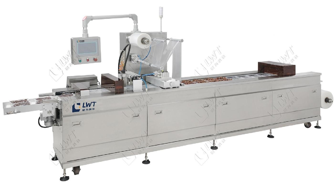 Auto Thermoforming Vacuum Packing Machine Complete Sachet Packaging Line