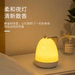 New Product Ideas 2019 USB Essential Oil new product ultrasonic mist maker air