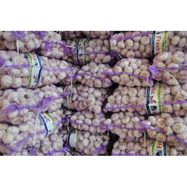 Buy cheap HDPE Plain Woven Tubular Mesh Netting Bags Round from wholesalers