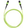 Buy cheap MPO Patch Cord, MPO Fiber Cable, MPO Trunk Cable, MPO/MTP Cable from wholesalers