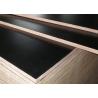 Buy cheap E1 Maple Dynea Film Faced Plywood from wholesalers