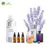 Buy cheap Lavender Oils Perfume Fragrance Branded Perfume For Men Fragrance from wholesalers