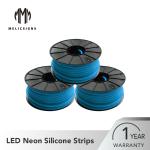 50M Length Blue LED Strip Neon Lights For Outdoor Advertising