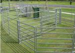 Light Weight Cattle Corral Panels Animal Fence Panels Round / Square / Oval Tube