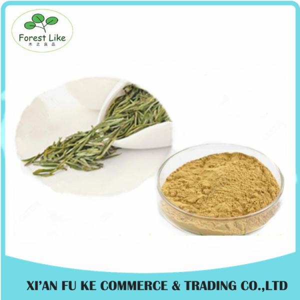 Buy cheap Health-care Product Instant Tea Powder Pure Natural White Tea Extract with Polyphenols from wholesalers