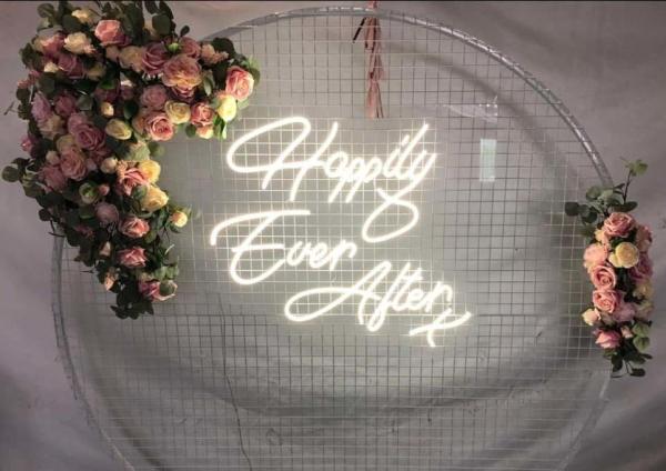 Quality 35cm Acrylic Neon Lighted Sign 2835 Led Neon Sign Acrylic Back for sale