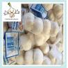 Buy cheap 2016 China good farmer garlic 5.0 and 5.5 garlic in USA from wholesalers