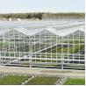 Buy cheap Hydroponic Growing System Venlo Glass Greenhouse Galvanized Steel Frame from wholesalers