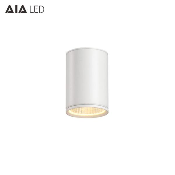 Buy cheap IP65 waterproof circular DALI dimmable outdoor downlight 12W 0-10V dimmable exterior down light &outside downlight from wholesalers