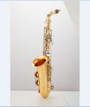 Black Nickel Plated Brass Alto Instrument Accessories Professional Eb OEM China