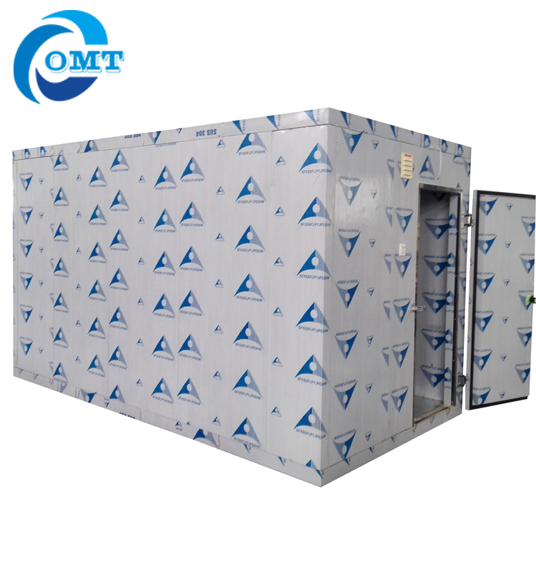 6Ton 20CBM Modular Freezer Room Air Cooled Customizable Keeping Fresh