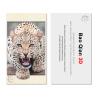 Buy cheap Eco-Friendly 3d Lenticular Image Cards 0.6mm PET Pantone Color UV Offset Printing from wholesalers