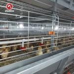 Poultry Agricultural Products Chicken Layer Cage For Broilers And Chicks