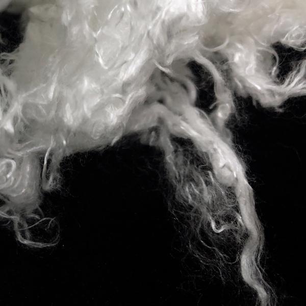 Buy cheap 1.4D×38mm A100 Lyocell Fiber , Eco Friendly Raw White Staple Fibre from wholesalers