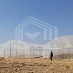 Cost-Effective Tunnel Greenhouse With PE Cover For Vegetables And Flowers