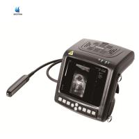 Buy cheap Big Animal Veterinary Ultrasound Scanner Diagnostic Imaging System For Cow Horse product