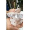 Buy cheap 290*550mm Ice Feeder Size Stainless Steel Ice Crusher for 50kg Ice in Fast Food Restaurant from wholesalers