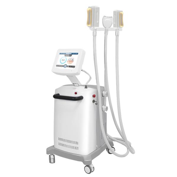 Buy cheap ABS Cryolipolysis Fat Freeze Slimming Machine For Tummy from wholesalers