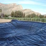 Industrial Impermeable Geomembrane for Mine Soil Remediation Garden Oily
