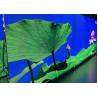 Buy cheap Rental LED Billboards Indoor Screen Brightness 800cd Video Vivid Epistar 4mm Pixel Pitch from wholesalers