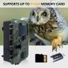 Buy cheap KW788 Trail Camera hunting camera Waterproof 0.1s trigger 4K 32MP night vision waterproof infrared camera from wholesalers