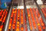 Customized 316l Automatic Tomato Paste Production Line 1-100ton Juice Production