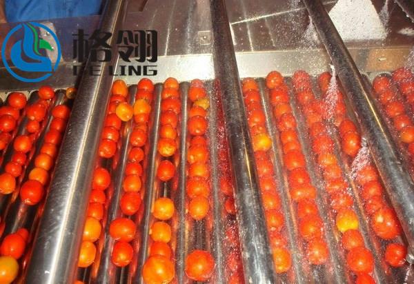 Customized 316l Automatic Tomato Paste Production Line 1-100ton Juice Production
