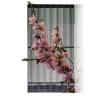 Buy cheap DIP Media LED Curtain Display EV Series Vertical Horizontal Cabinet Position from wholesalers