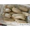 Buy cheap 100 % Mature Fresh White Radish Farm Supplying All The Year Round from wholesalers