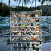 Buy cheap New Design Magnetic Seashell Specimen Acrylic Display Box For Jewelry Storage product